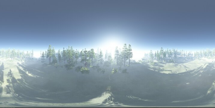 HDRI, environment map , Round panorama, spherical panorama, equidistant projection, panorama 360, Forest and swamp, 3d rendering