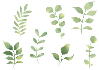 水彩風のナチュラルなグリーンリーフセット｜ボタニカルな葉っぱと枝のベクター素材・白背景