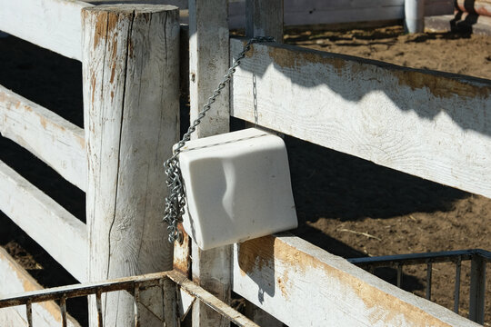 Trace mineral salt block or Salt lick suspended in a pen for balanced diet of cattle. Free-choice mineral. Farming, cow farm. Essential magnesium and supplements