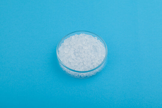 Virgin polypropylene pellets or virgin PP granules in glass Petri dish on blue background. Selective focus, copy space. Granulated plastic polymer