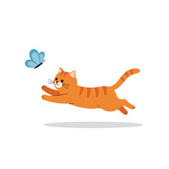 Fototapeta premium Playful Orange Cat Chasing a Blue Butterfly.