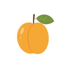Simple Cartoon Apricot with Green Leaf and Brown Stem.