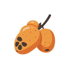 Two Ripe Orange Fruits on a Branch with Dark Spots.