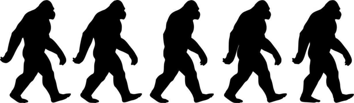 Five black Bigfoot silhouettes walking in a row, isolated on a white background, representing cryptid mystery and wilderness folklore.