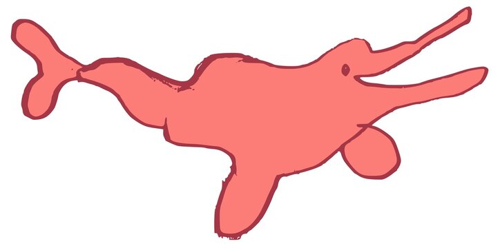 Cute pink Amazon river dolphin, boto or inia geoffrensis, kids drawing 
