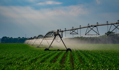 Irrigation system. Agricultural cultivation with watering and sprinkler technology. Agricultural irrigation system. Sprinkler equipment in the field. Irrigation and watering system in farmland © Volodymyr