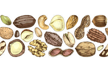 Naklejka premium Nut mix hand sketched seamless border