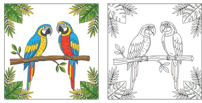 Tropical Macaw Parrots Coloring Page Illustration. Color and Black and White Vector Line Art of Two Birds on a Branch with Leaves.