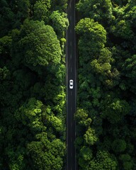 Aerial view of a car on a forest road.
