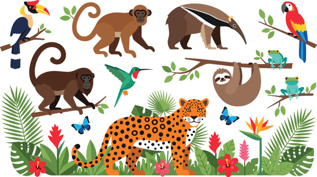 Tropical rainforest animals illustration with monkey sloth leopard toucan parrot frogs and butterflies, colorful jungle wildlife vector set