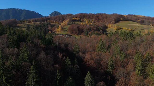Breathtaking Rustic Farmhouses and Autumn Forest Sunny Poiana Marului Piatra Craiului Mountains Cinematic Rising Drone Shot 4K Graded