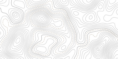 Topographic map background geographic line map with elevation assignments. Modern design with White background with topographic wavy pattern design.Abstract bacground. Vector illustration  © NAZMA