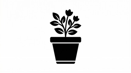 Fototapeta premium Potted Plant Silhouette