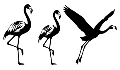 Tropical flamingo silhouette vector pack isolated on white © Md
