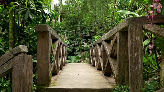 Wooden Footbridge Surrounded by Lush Tropical Plants in Botanical Garden, Peaceful Nature Walkway in Baguio City Philippines