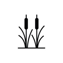Simple black and white illustration of three cattail plants on a line