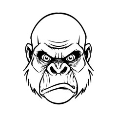 Dibujo sencillo con líneas de la cabeza de un gorila o chimpancé enojado  © teracreonte