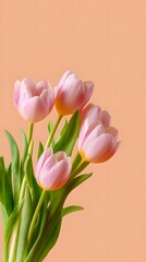 Fototapeta premium a bouquet of 5 pastel pink tulips with pastel orange background