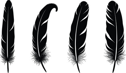Feather silhouette collection, black and white artwork, decorative bird design, nature inspired vector, detailed feather illustration, artistic sketch, elegant outline © Hello World