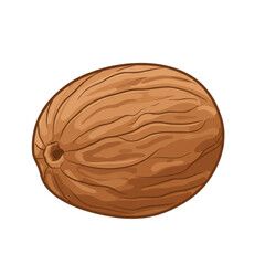 Obraz premium A cartoon illustration of a nutmeg spice, showcasing its ridged exterior against a black background