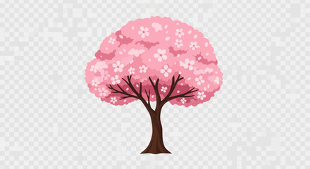 Pink Cherry Blossom Tree Isolated on Transparent Background