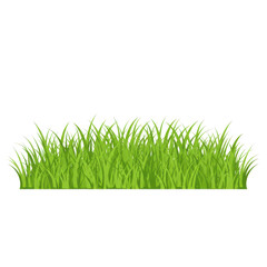 Fototapeta premium Lush, vibrant green grass blades clustered against a dark background