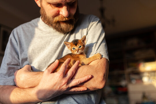 Bearded man cradling small kitten in his arms indoors, bathed in warm sunlight.  Cozy lifestyle image of human-animal bond and gentle pet care, adoption, companionship, home comfort and wellness.