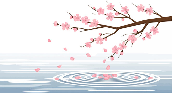 Cherry Blossom Petals Falling into Water Ripples