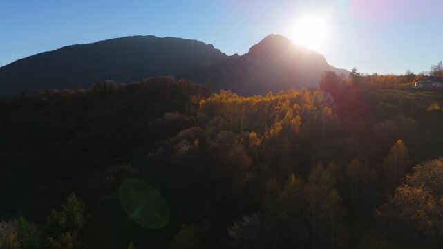 Majestic Forward Aerial Flight Over Autumn Forest Towards Sunlit Golden Birch Crest in Poiana Marului Cinematic 4K Graded