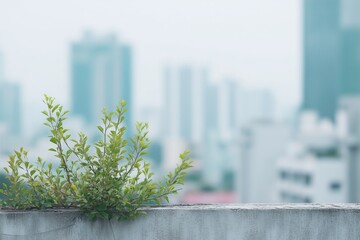 Green Plants Growing on Urban Wall with Blurred City Skyline