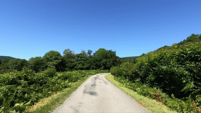 Curving rural road surrounded by lush green vegetation and trees in the Morvan region on a clear summer day.