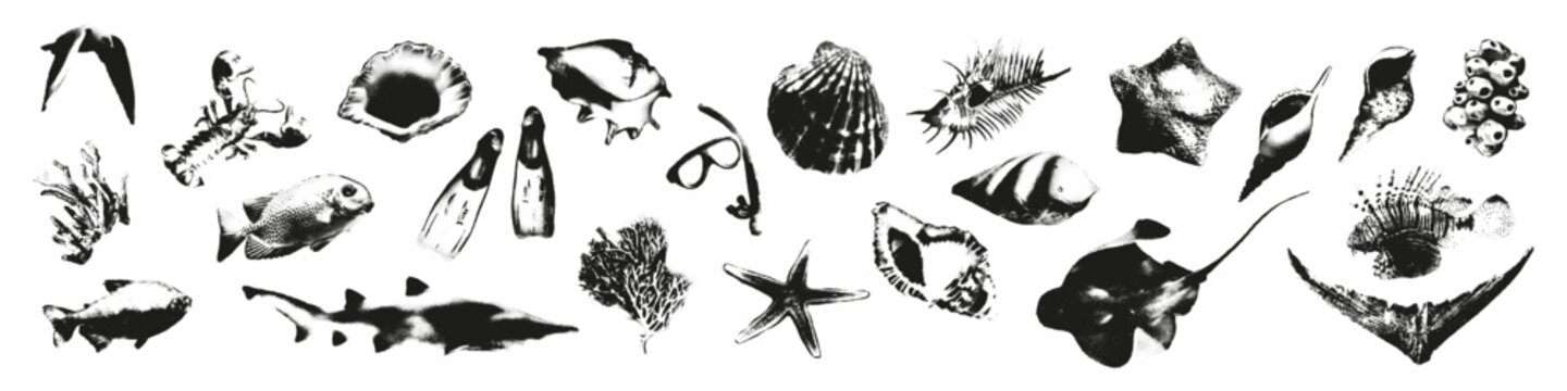 Ocean halftone photocopy elements set. Sea fish and seashell with grunge punk gritty texture for y2k retro collage and street wear print. Stipple effect vector illustration isolated