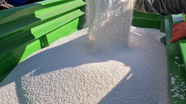 Pouring mineral fertilizer in granules into the fertilizer spreader, slow motion. Farmer pouring fertilizer from large sacks. Proper growth and development of plants requires a balance of nutrients fo