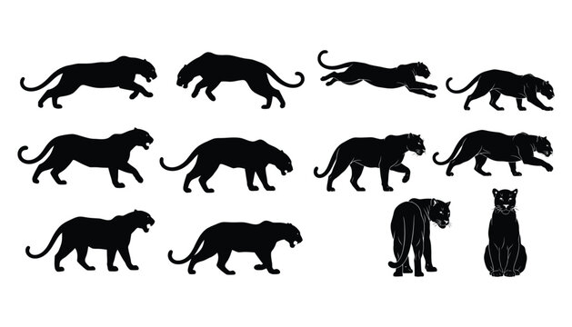 Collection of female lion silhouettes in various poses