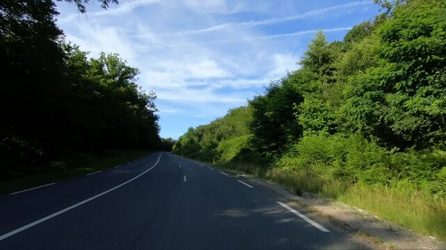 Curving asphalt road bordered by lush green forest under a blue sky in the Morvan region of France. Peaceful summer landscape ideal for travel and nature concepts.