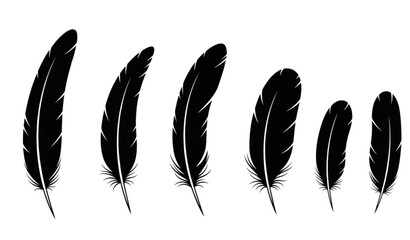 Bird feather silhouette icon set black vector illustration isolated on transparent background © MDRahul
