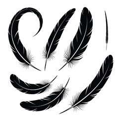 Obraz premium Feathers set with detailed quill and barbs in a black silhouette style featuring feather, plume, down with bird feather and writing feather elements