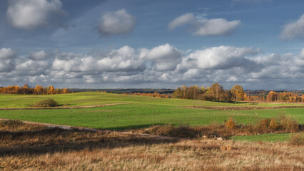 Fototapeta premium AUTUMN LANDSCAPE - Beautiful colorful trees on a sunny day