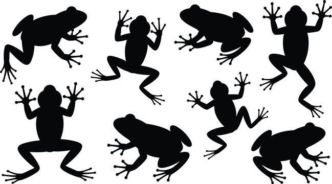 Frog silhouette collection, amphibian poses in black, leaping, crouching, animal outline design, wildlife illustration, nature symbol, reptile style, vector graphic, creative pattern inspiration