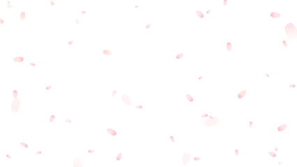 Falling Cherry Blossom Petals Overlay Vector Illustration (Transparent Background) © 麻由美 八木