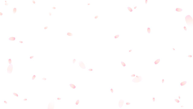 Falling Cherry Blossom Petals Overlay Vector Illustration (Transparent Background)
