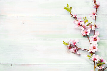 Branch  with Almond  blossoms on old shabby wooden table. Floral border. Top view with copy space. Flat lay. © Antonel