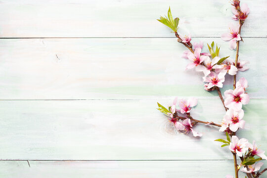 Branch  with Almond  blossoms on old shabby wooden table. Floral border. Top view with copy space. Flat lay.