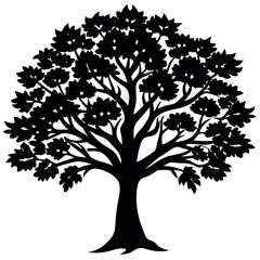 Fototapeta premium A Chinese Pistache tree silhouette vector illustration. 