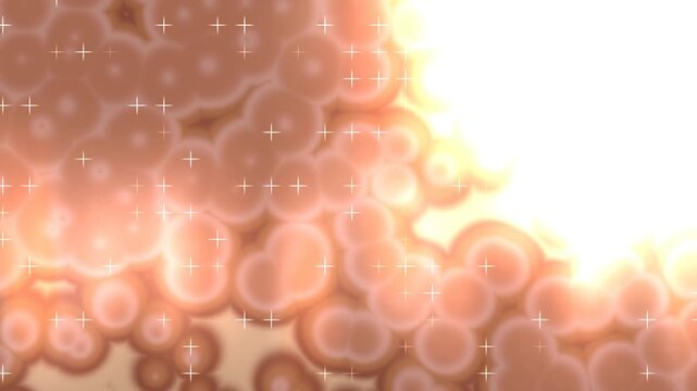 abstract orange bubbles with light effect Animation Motion.