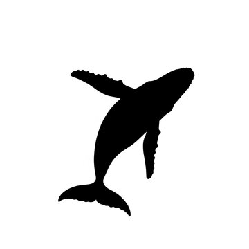 Black whale jumping high silhouette ocean freedom wildlife nature art