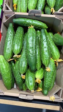 Fresh green cucumbers with yellow flowers piled high in a rustic cardboard box at market