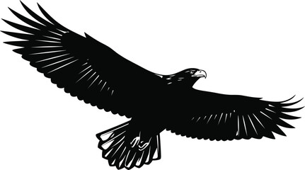 Obraz premium Black silhouette of a majestic eagle in flight with wings spread wide on white background bird raptor