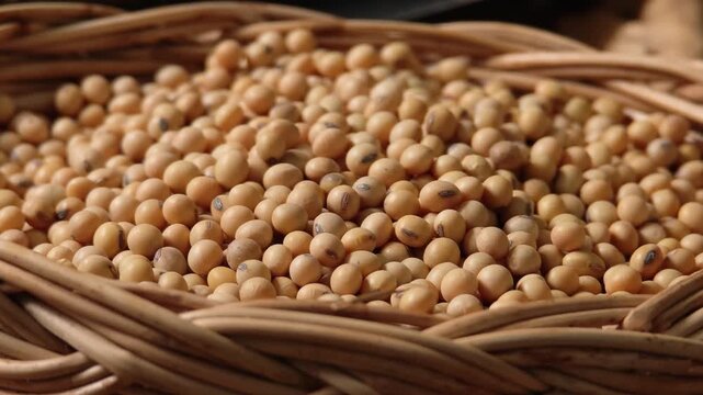 Dried soybeans in a basket, Dolly Shot.