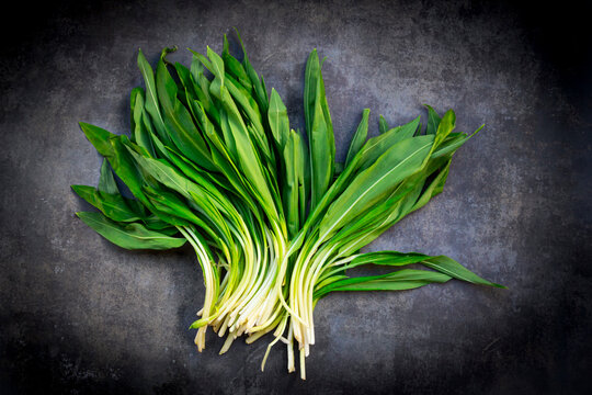 Fresh wild garlic leaves arranged on black concrete background